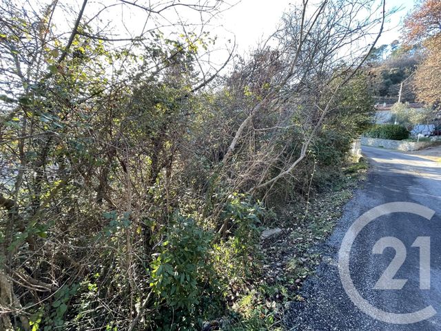 Afficher la photo en grand terrain à vendre - 13814.0 m2 - ST MARTIN DE VALGALGUES - 30 - LANGUEDOC-ROUSSILLON - Century 21 Impact Immobilier