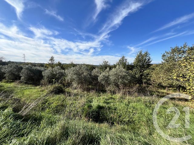 maison à vendre - 12 pièces - 327.0 m2 - ST JEAN DE CEYRARGUES - 30 - LANGUEDOC-ROUSSILLON - Century 21 Impact Immobilier