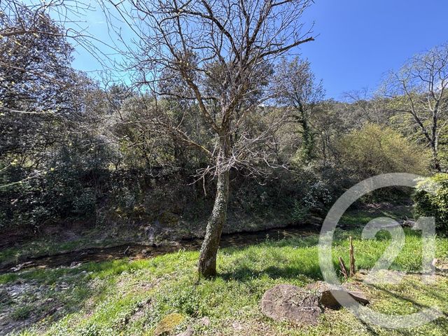 maison à vendre - 5 pièces - 100.0 m2 - ST JEAN DU PIN - 30 - LANGUEDOC-ROUSSILLON - Century 21 Impact Immobilier