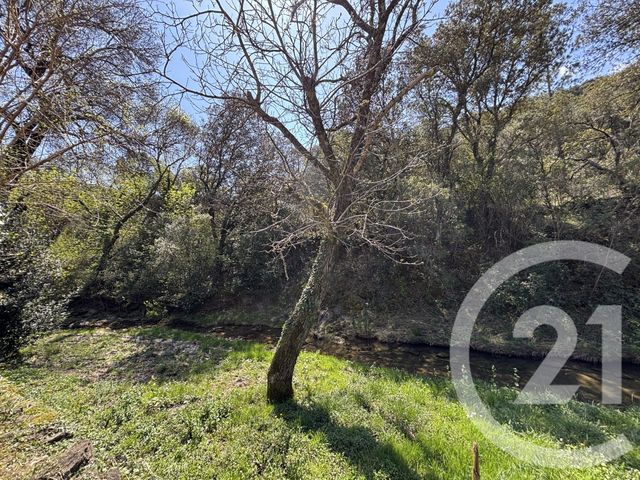 maison à vendre - 5 pièces - 100.0 m2 - ST JEAN DU PIN - 30 - LANGUEDOC-ROUSSILLON - Century 21 Impact Immobilier