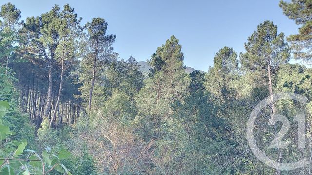 immeuble à vendre - 214.0 m2 - STE CECILE D ANDORGE - 30 - LANGUEDOC-ROUSSILLON - Century 21 Impact Immobilier