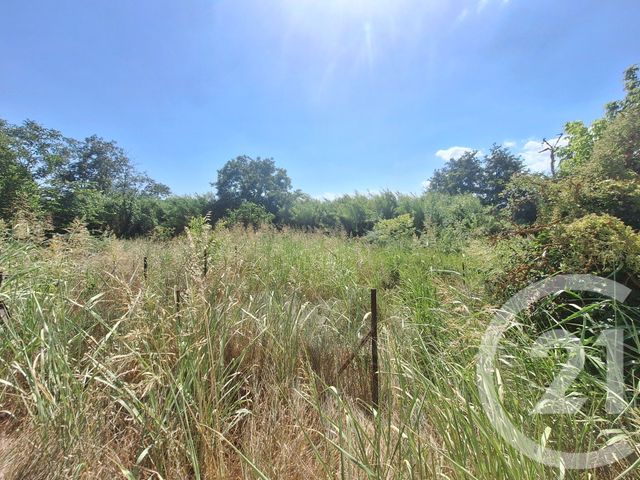 maison à vendre - 4 pièces - 85.48 m2 - BOUCOIRAN ET NOZIERES - 30 - LANGUEDOC-ROUSSILLON - Century 21 Impact Immobilier