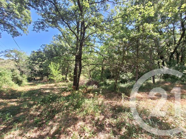 terrain à vendre - 1759.0 m2 - MONS - 30 - LANGUEDOC-ROUSSILLON - Century 21 Impact Immobilier