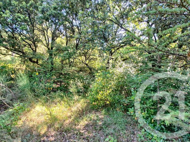 terrain à vendre - 1040.0 m2 - LA GRAND COMBE - 30 - LANGUEDOC-ROUSSILLON - Century 21 Impact Immobilier