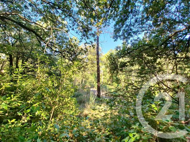 terrain à vendre - 1040.0 m2 - LA GRAND COMBE - 30 - LANGUEDOC-ROUSSILLON - Century 21 Impact Immobilier
