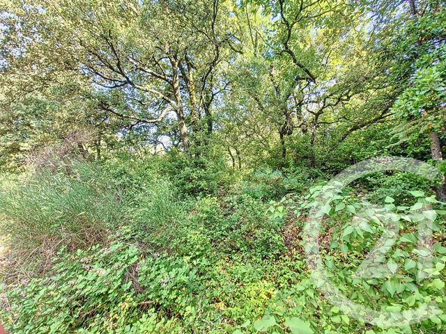 terrain à vendre - 1040.0 m2 - LA GRAND COMBE - 30 - LANGUEDOC-ROUSSILLON - Century 21 Impact Immobilier