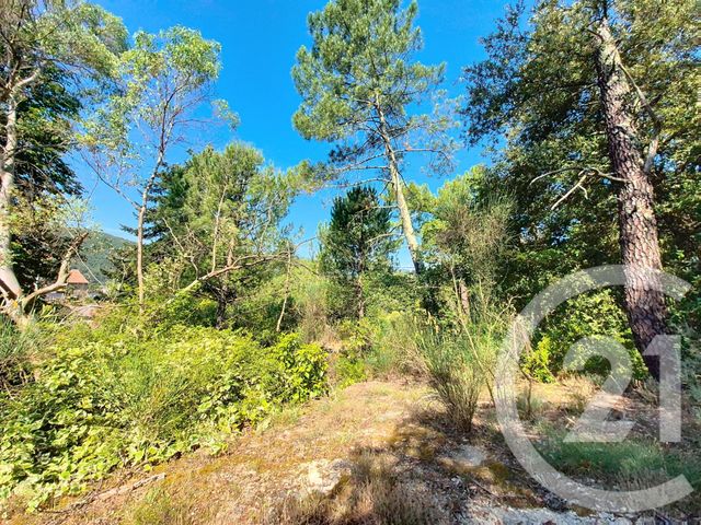 terrain - LA GRAND COMBE - 30