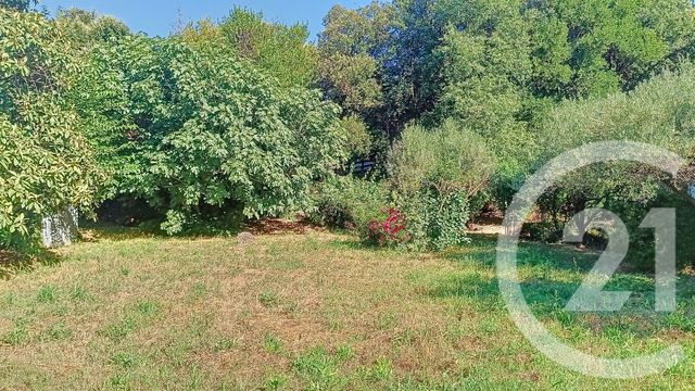 terrain à vendre - 775.0 m2 - ST BENEZET - 30 - LANGUEDOC-ROUSSILLON - Century 21 Impact Immobilier