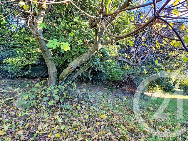 terrain à vendre - 775.0 m2 - ST BENEZET - 30 - LANGUEDOC-ROUSSILLON - Century 21 Impact Immobilier