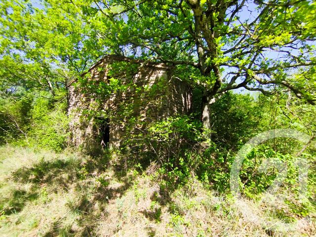 terrain à vendre - 128197.0 m2 - DEAUX - 30 - LANGUEDOC-ROUSSILLON - Century 21 Impact Immobilier