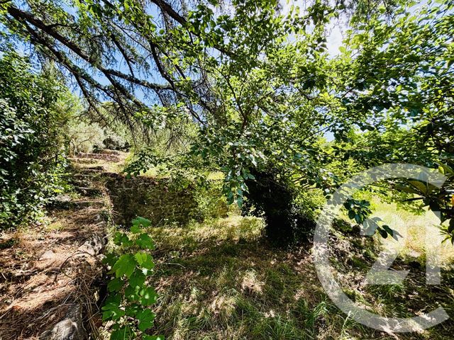 terrain à vendre - 1667.0 m2 - ST JEAN DU PIN - 30 - LANGUEDOC-ROUSSILLON - Century 21 Impact Immobilier