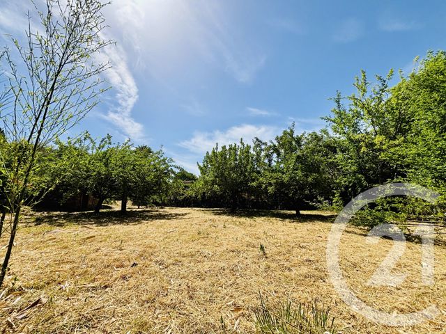 terrain à vendre - 1667.0 m2 - ST JEAN DU PIN - 30 - LANGUEDOC-ROUSSILLON - Century 21 Impact Immobilier