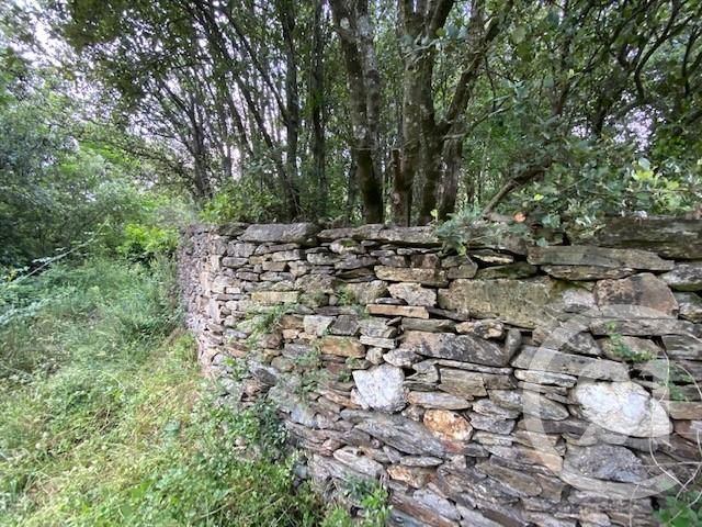 Afficher la photo en grand terrain à vendre - 673.0 m2 - LES PLANTIERS - 30 - LANGUEDOC-ROUSSILLON - Century 21 Impact Immobilier