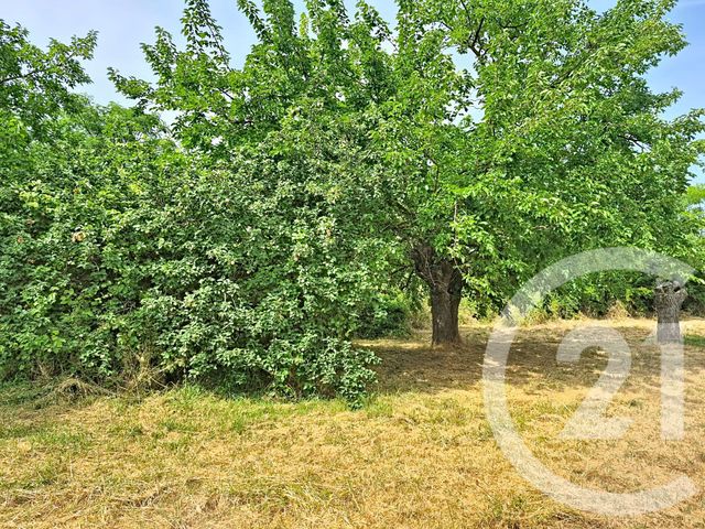 terrain à vendre - 1389.0 m2 - ALES - 30 - LANGUEDOC-ROUSSILLON - Century 21 Impact Immobilier