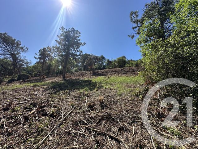 terrain à vendre - 4066.0 m2 - ALES - 30 - LANGUEDOC-ROUSSILLON - Century 21 Impact Immobilier