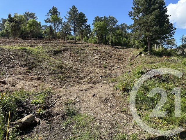 terrain à vendre - 4066.0 m2 - ALES - 30 - LANGUEDOC-ROUSSILLON - Century 21 Impact Immobilier