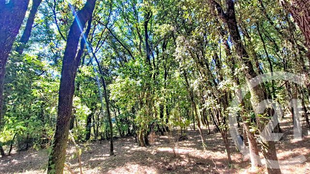 terrain à vendre - 799.0 m2 - CENDRAS - 30 - LANGUEDOC-ROUSSILLON - Century 21 Impact Immobilier
