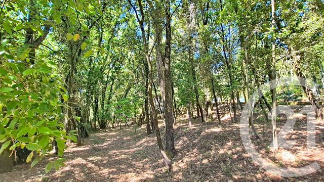 terrain à vendre - 799.0 m2 - CENDRAS - 30 - LANGUEDOC-ROUSSILLON - Century 21 Impact Immobilier