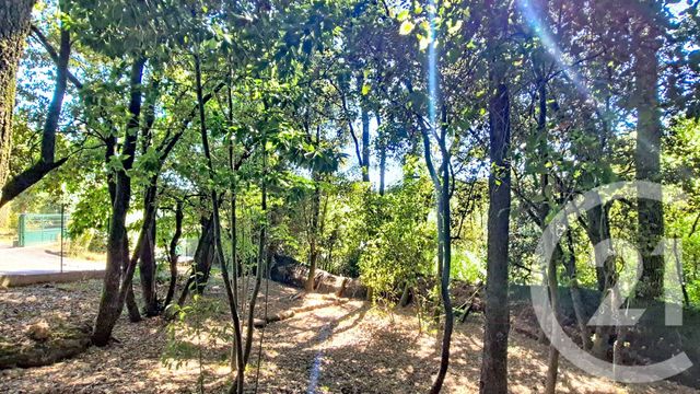 terrain à vendre - 799.0 m2 - CENDRAS - 30 - LANGUEDOC-ROUSSILLON - Century 21 Impact Immobilier