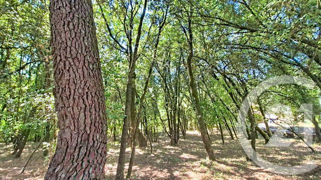terrain à vendre - 1032.0 m2 - CENDRAS - 30 - LANGUEDOC-ROUSSILLON - Century 21 Impact Immobilier