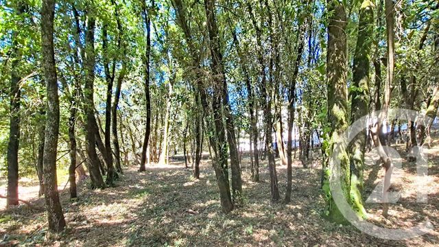 terrain à vendre - 1032.0 m2 - CENDRAS - 30 - LANGUEDOC-ROUSSILLON - Century 21 Impact Immobilier