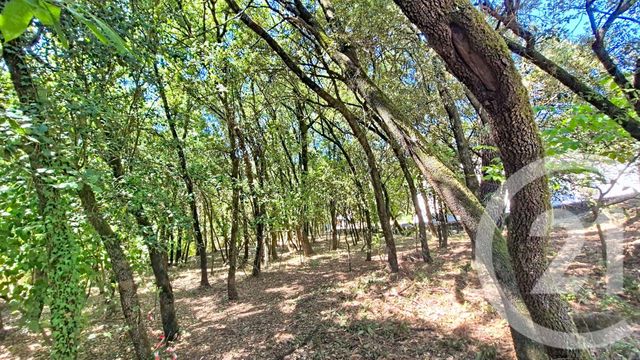 terrain à vendre - 1032.0 m2 - CENDRAS - 30 - LANGUEDOC-ROUSSILLON - Century 21 Impact Immobilier
