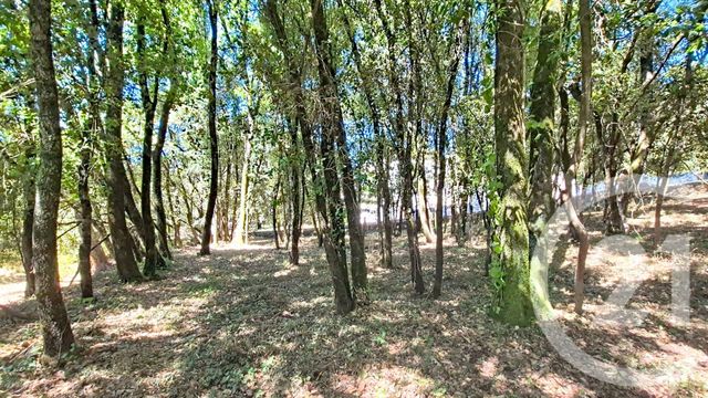 terrain à vendre - 1032.0 m2 - CENDRAS - 30 - LANGUEDOC-ROUSSILLON - Century 21 Impact Immobilier